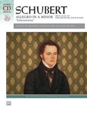 Allegro in A Minor, Op. 144 ("Lebensstürme")