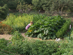 Oats & Ivy Farm