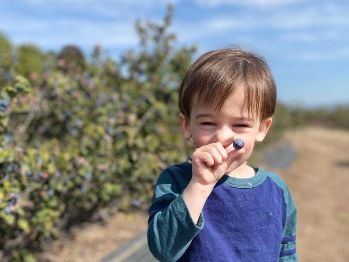 Shop, Taste & Pick Along the Camarillo Farm Trail
